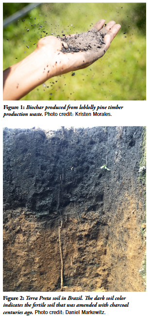 biochar photos